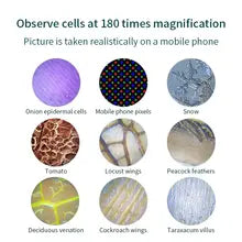 The Original Miniscope (250x Zoom)