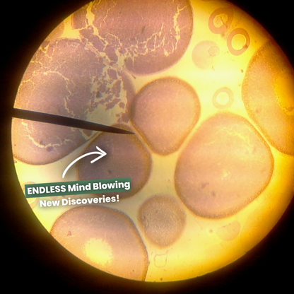 The Original Miniscope (250x Zoom)